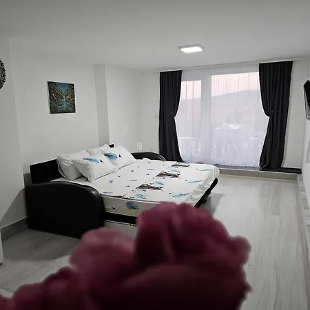 Dana 3* Aranđelovac